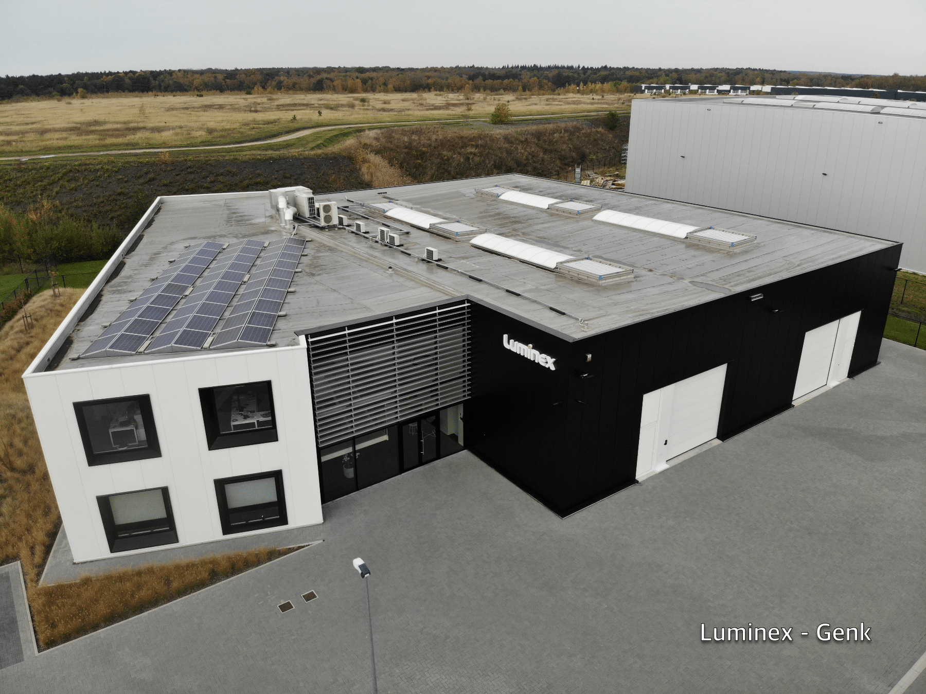 13.Luminex