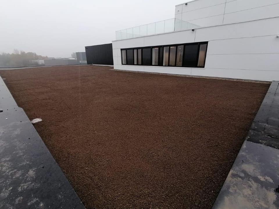Verheyen3